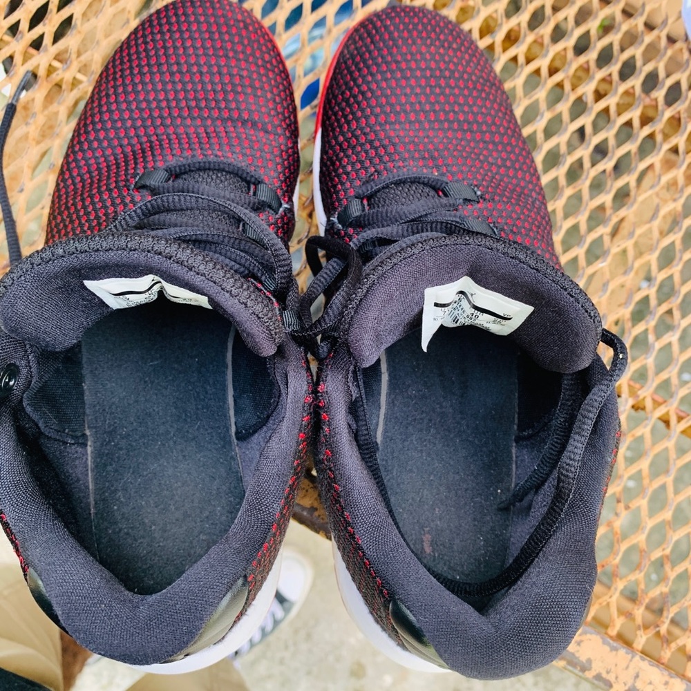 Jordan B. Fly Bred GS - Picture 6 of 6